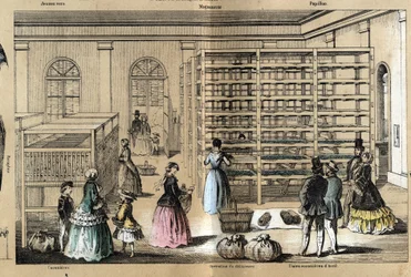 Descrição da cultura e dos produtos de seda: no centro a magneerie com as várias etapas da sericultura. Placa "la soie" em "les Recreations instructives" Pintura sinóptica de Jules DELBRUCK, gravada a partir de 1860. Coleção particular.