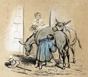 Descrição dos diferentes produtos e usos do burro: a produção de leite de burra é utilizada como um produto de beleza. Detalhe do quadro "O burro e os seus produtos" em "Les Recreations instructives" Pintura sinóptica de Jules DELBRUCK, gravura