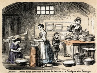 Descrição dos vários empregos e produtos ovinos: jovens produtores de leite fazendo manteiga e queijos em um laticínio. Placa "Les moutons" em "les Recreations instructives" Pintura sinóptica de Jules DELBRUCK, gravada a partir de 1860. Colecção privada.