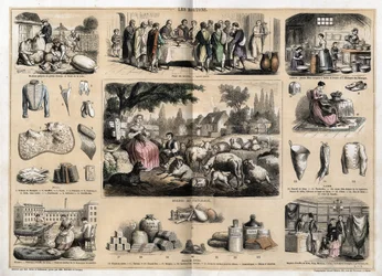 Descrição dos vários usos e produtos de ovelhas: corte de ovelhas, cordeiro pascal servido como prato tradicional na Páscoa, jovens leiteiras fazendo manteiga e queijos; tapeçaria e produtos de lã, copos, chinelos, meias de lã, vendidos em tecido e sapatos