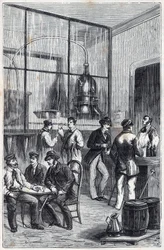 Loja de destilação em Paris no século XIX - Gravura em "Sciences made available to all - physics and chemistry" de Alexis Clerc - Fim do século XIX - Colecção privada