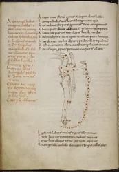 Desenho da constelação de Aquário, com as estrelas escolhidas como pontos vermelhos, de 