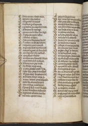 Egerton MS 881 f.65v, Guillaume de Lorris e Jean de Meun, Roman de la Rose (vellum)