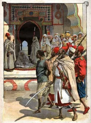 Execução do Rogui