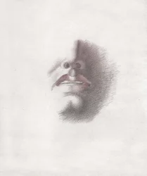 O rosto de um homem. (desenho, por volta de 1830)