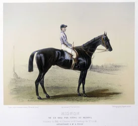 Cavalo de corrida famoso - em "The Centaur" 1866
