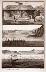 Pesca, arenque e sardinha - Peches de Mer - Sorretterie des herring et des sardines - "La Grande Encyclopedie, ou Dictionnaire Raisonne des Sciences, des Arts et des Metiers" (Enciclopédia ou Dicionário das Ciências, Artes e Profissões) por Deni