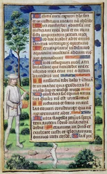 Fol.50v Página de texto com o detalhe de um músico que faz o seu cão dançar, de 