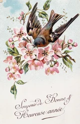 Postal de Ano Novo francês com flores e um pássaro
