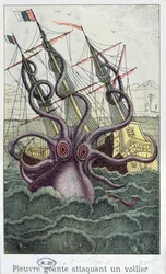 Polvo Gigante, ilustração da História Natural Geral e Especial dos Moluscos de Denys-Montfort, c. 1802-1803