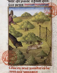 Caça à Lebre - no "Livro de Caça de Gaston Phoebus, Conde de Foix, Senhor de Béarn".