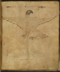 Harley 647, f.7 Ilustração da constelação 