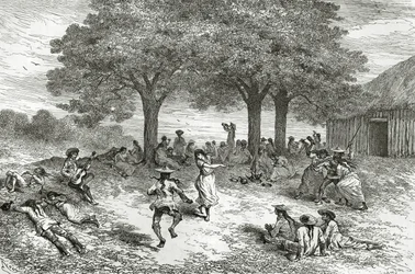 Colheita de Coca, Peru, ilustração da revista The World Tour, 1877