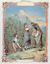 Colheita de uvas, de um calendário, c.1880