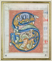 Historiated inicial &39;S&39; retratando um acrobata e animais fantásticos, da Bíblia de Saint-Andre aux-Bois (velino)