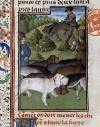 Cães de Caça - no "Livro de Caça de Gaston Phoebus, Conde de Foix, Senhor de Béarn".