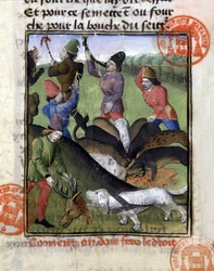 Cena de caça: a parte do veado para a matilha de cães - em "The Hunting Book of Gaston Phoebus, Count of Foix, Lord of Béarn" (O Livro de Caça de Gaston Phoebus, Conde de Foix, Senhor de Béarn)