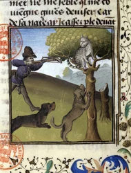 Cena de caça com lince - no "Livro de Caça de Gaston Phoebus, Conde de Foix, Senhor de Béarn".