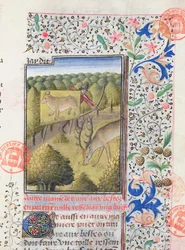 Caçador escondendo-se atrás de um chamariz enquanto caçava um cervo, do Livre de la Chasse por Gaston Phebus de Foix (1331-1391)