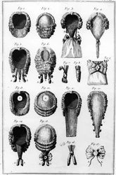 Ilustrações de várias modas de peruca, prato VII, vol.8, da Encyclopédie des Sciences et Metiers de Diderot, publicado c.1770