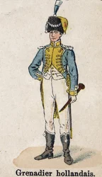 Guarda Imperial Napoleão I: Grenadier Holandês - Músico. Placa do livro Les Uniforms de l