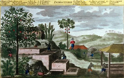Indigoterie nas Índias Ocidentais, detalhe de 00155 - in "História Geral das Antilhas Habitadas pelos Franceses por Du Tertre", início do século XIX