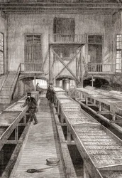 Interior de uma piscicultura do século XIX em Huningue, França, de Les Merveilles de la Science, publicado c.1870 (gravura)
