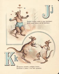 JK: Raposa alegre, malabarista, canguru, kickboxing