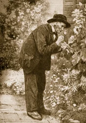 Jean-Henri Fabre observando insetos