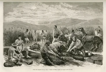 La peche des leeches, desenho de Sahib, para ilustrar a história de Henri Belle: Voyage en Greece