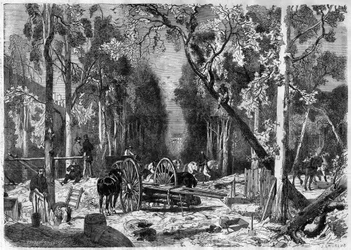 Le bucheron au jardin de Luxembourg em Paris, em 1870 - Gravura a partir de 1870