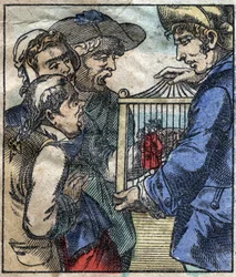 Lemuel Gulliver, numa gaiola é mostrado aos gigantes de Brobdingnag. Ilustração para "Gulliver