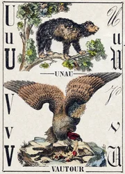 Carta Unau (preguiçoso); Abutre. Gravura em "Alfabeto dos animaux sauvages". 9ª Série. Imagery of Epinal, Pellerin, printer-publisher, circa 1870. Gravura em madeira, stencilada. 16 páginas. Dimensões: 20 x 15 cm. Coleção Particular
