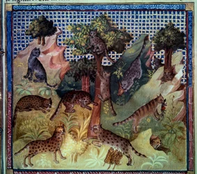 Gatos selvagens do lince nas montanhas. Miniatura de "O livro de caça" de Gaston III Phoebus, Conde de Foix, Senhor de Bearn (1331-1391)