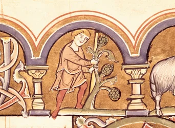 Março: Árvores enxertadas, do Saltério de Santa Isabel