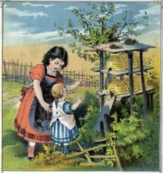 Martha mostra o trabalho das abelhas da colmeia à sua irmãzinha. Cromolitografia da editora "Scenes enfantines". Guerin - Muller por volta de 1885.