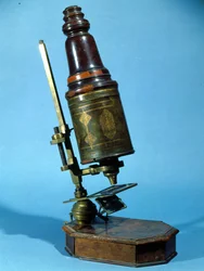 Microscópio (madeira e latão)