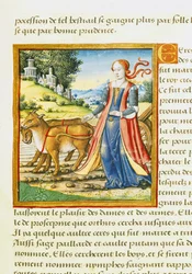 Ms 17 Ceres, da vida da celebridade das mulheres, c.1505