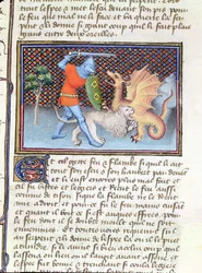 Ms 3480 Yvain, o Cavaleiro do Leão, lutando contra um dragão, miniatura de Roman de Lancelot