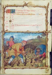 Ms 438 O Mês de Março: podando as videiras, a partir de um livro de horas, 1490