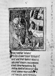 Sra. Fr 1581 Noble holding court, ilustração do Roman de Renart