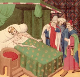Sra. Fr 226 O uso de sanguessugas, do Decameron, por Giovanni Boccaccio (1313-75)