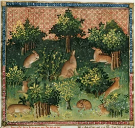 Fr. 616 fol.24v Hares in a Wood, do Livre de la Chasse de Gaston Phebus de Foix (1331-1391)