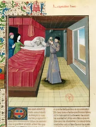 Sra. Pe 9140 fol.120v Um médico realizando uma análise de urina, de Property Book Things by Barthelemy English, 1480