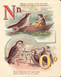 NÃO: Nightingale, navegação, coruja, orquestra