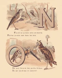 NÃO: Nightingale, nupcial, coruja, ortografia