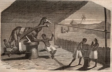 Usina de óleo usado na costa oeste da África