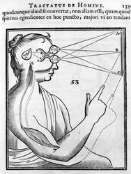 Oftalmologia: o olho e a visão. Do "Tractatus de Homine" de René Descartes
