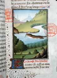 A pesca da lontra, do Livre de la Chasse de Gaston Phebus de Foix (1331-91) (vellum)