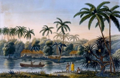 Parte da aldeia de Matavae, coqueiros e outras frutas, Tahiti, de todo o mundo em Corvette Coquille pelo tenente Louis Isodore Duperrey, publicado em 1826
